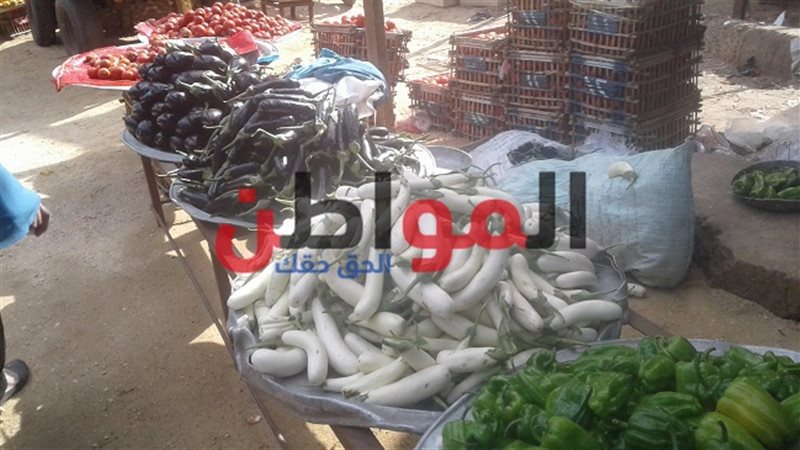 سعر الطماطم والبطاطس