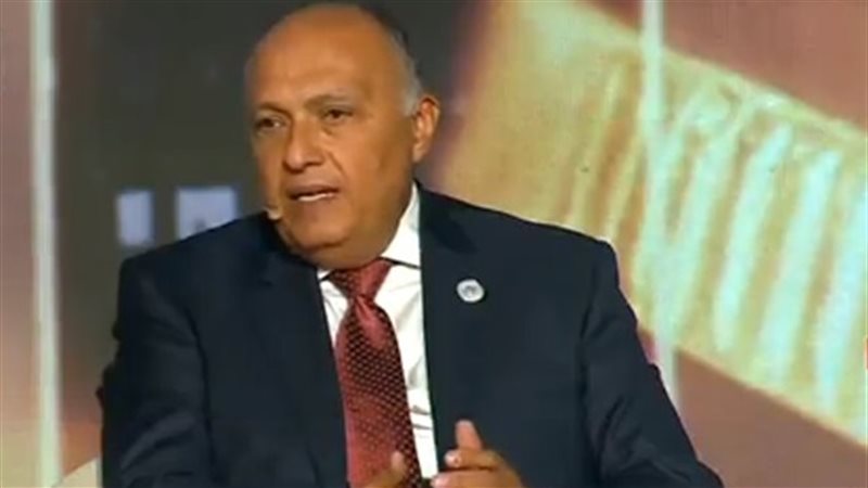 سامح شكرى- مصر وسلاح
