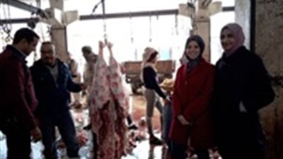 صور.. الطب البيطري يشن حملات على المجازر في سوهاج