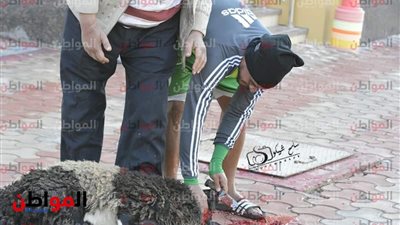 خالد قمر يذبح خروفًا قبل تدريبات زعيم الثغر 