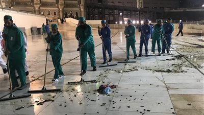صرصور الحرم والفيس بوك .. هبدات تخالف الدين والتاريخ