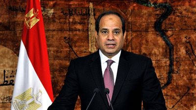 الرئيس الألماني يعد بتلبية دعوة السيسي لزيارة مصر في أقرب فرصة
