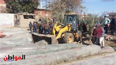 صور.. إزالة 45 حالة تعدٍ على الأراضي الزراعية بالشرقية