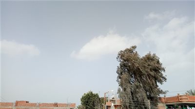 صور| حالة الطقس.. عواصف ورياح شديدة بالفيوم اليوم الأحد