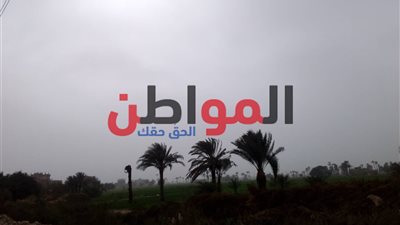 صور| حالة الطقس.. جو سيء وشبورة في طرقات سوهاج