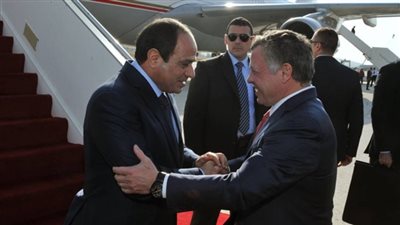 فيديو| رئاسة الجمهورية: 