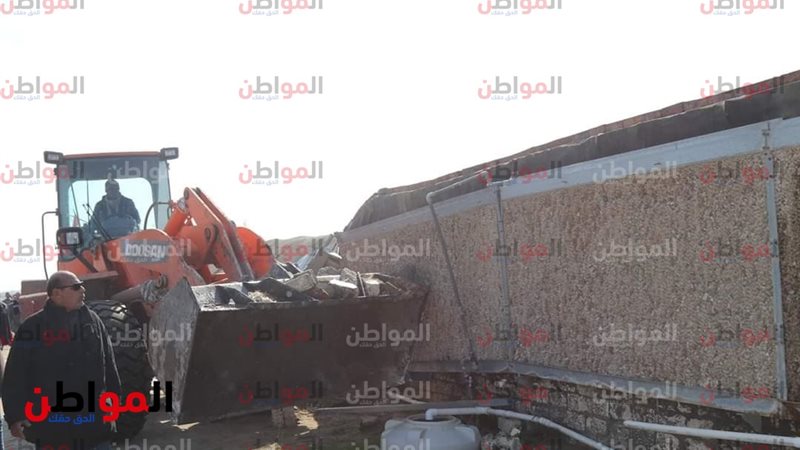 المواطن