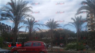 صور| بني سويف تصدم هيئة الارصاد الجوية وتخالف التوقعات