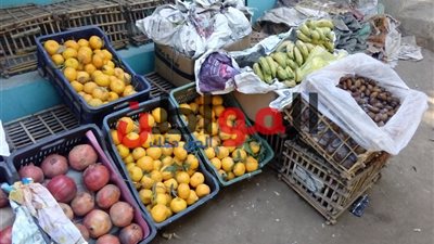 صور.. أسعار الخضروات والفاكهة في سوهاج اليوم الثلاثاء