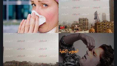 خلي بالك عاصفة رملية شديدة .. نصائح لمرضى الجيوب الأنفية 