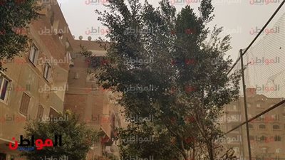 صور.. عاصفة ترابية توقف المركبات بشوارع القناطر الخيرية 