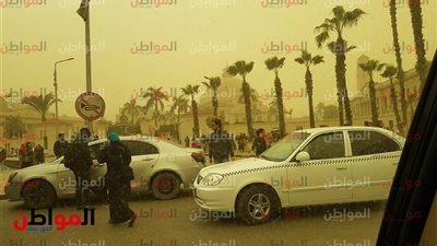 صور .. أشجار جامعة القاهرة تصمد أمام العواصف الترابية