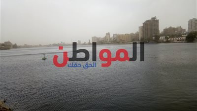 فيديو وصور.. عاصفة رملية على أنحاء محافظة الغربية والعظمي 14