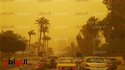 صور .. عاصفة رملية في جامعة القاهرة تعيق حركة السيارات