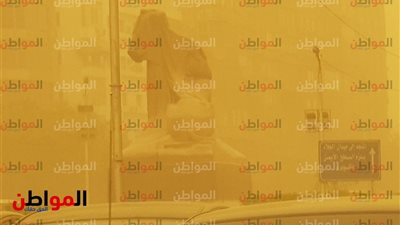 صور .. عاصفة رملية تغمر تمثال نهضة مصر في ميدان ساطع النعماني