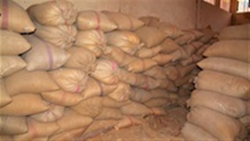 قمح مهرب - صورة أرشيفية