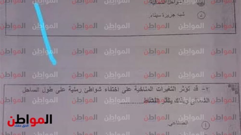 المواطن