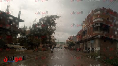 صور| أمطار غزيرة ورياح شديدة وسقوط أعمدة إنارة في البحيرة