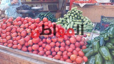 أسعار الخضروات والفاكهة بأسواق مدينة كفر الشيخ اليوم الجمعة