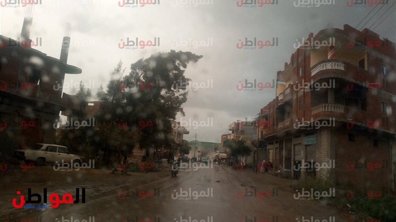 المواطن