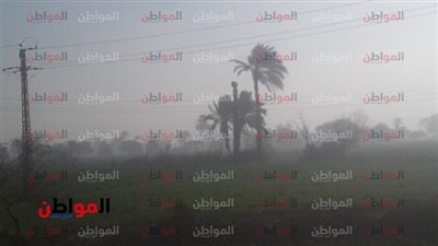  تعرف على أحوال الطقس المتوقعة الأحد 20 يناير 
