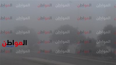 صور| ضمن حالة الطقس .. شبورة مائية كثيفة تغطي سماء الجيزة اليوم