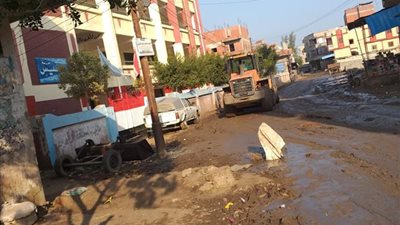 صور.. حملات نظافة مكبرة بقرى مركز كفر الشيخ