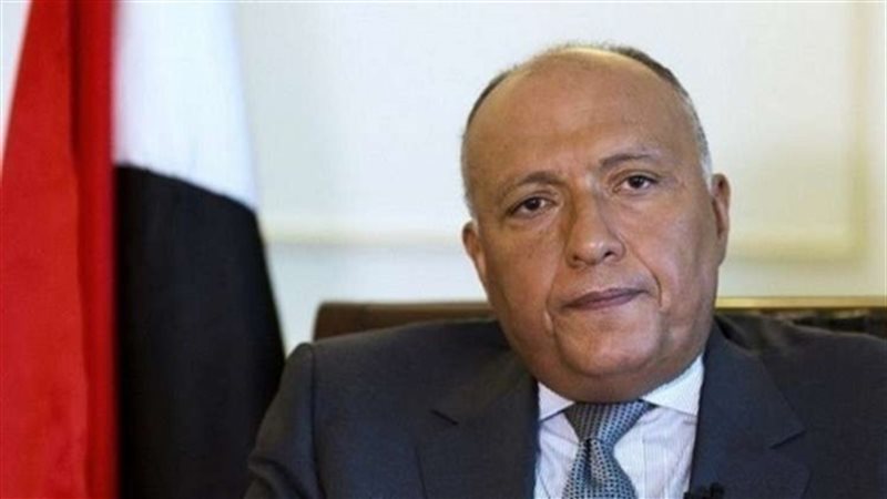 وزير الخارجية 