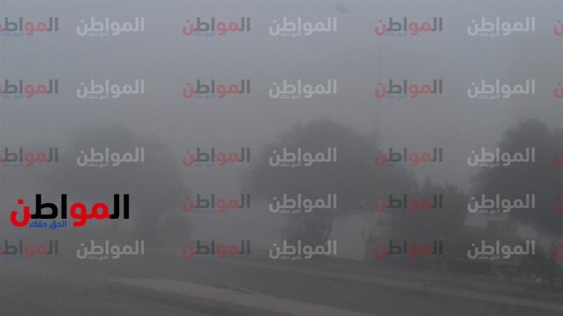 شبورة مائية تغطي