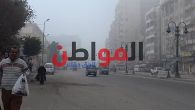 صور.. شبورة مائية كثيفة تغطي سماء الإسكندرية