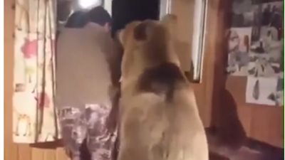 حتى انت .. دب يعانق صاحبه في مشهد كوميدي