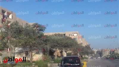 صور| تزامنًا مع ثورة 25 يناير .. تحسن الأحوال الجوية في الجيزة اليوم