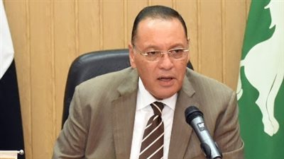 مليار و231 مليون جنيه قروضاً للشباب لتمويل 9741 مشروعا بالشرقية
