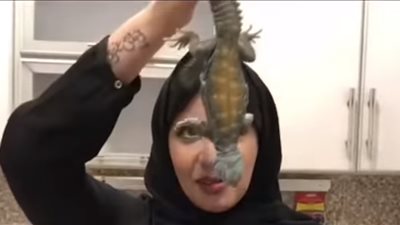 لن تتوقع ما هو رد فعل سعوديات عزمتهن صديقتهن على لحم ضب