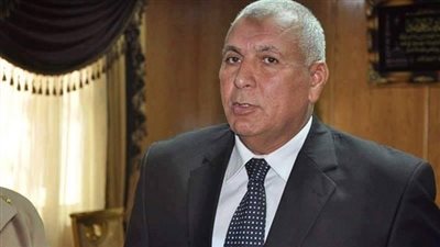 تنفيذ الخطة الاستثمارية بمركز بلاط في قطاعي الطرق والكهرباء بتكلفة 8 مليون جنيه