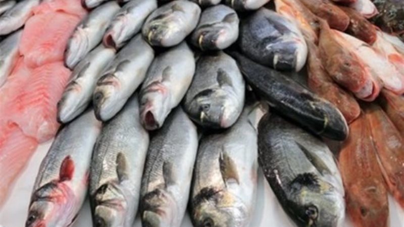 سعر السمك اليوم السبت