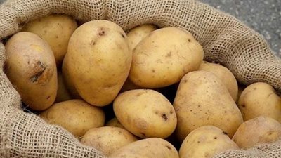 سعر البطاطس اليوم الاحد 27 يناير 2019 في سوق العبور 