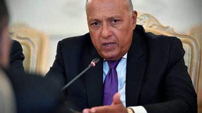 اليوم.. وزير الخارجية يستقبل المبعوث الأممى الجديد إلى سوريا بمقر الوزارة 