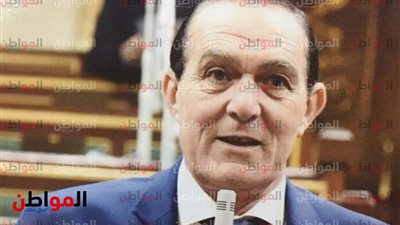 الأمين المساعد لحزب مستقبل وطن بالجيزة ينظم قافلة طبية في قرية الشوبك