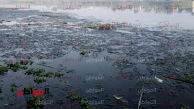 فيديو| أزمة مياه الشرب في البحيرة عرض مستمر.. ارتفاع نسبة الأمونيا.. والأهالي يناشدون السيسي التدخل