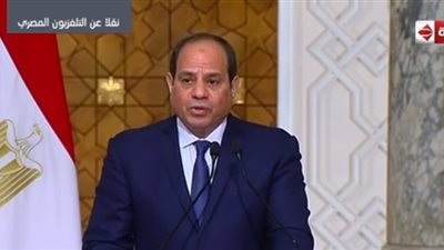 فيديو.. السيسي: تم مناقشة الجهود المصرية السودانية لإحلال السلام في المنطقة