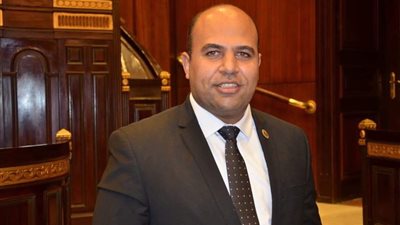هشام الهمامي يشيد بالأبعاد الاقتصادية في كلمة السيسي خلال مبادرة نور حياة