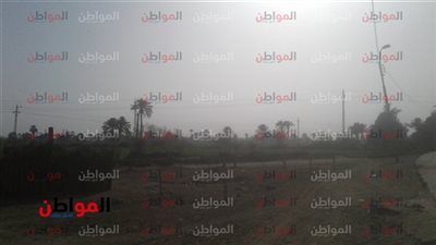 فيديو.. تعرف على درجات الحرارة المتوقعة اليوم