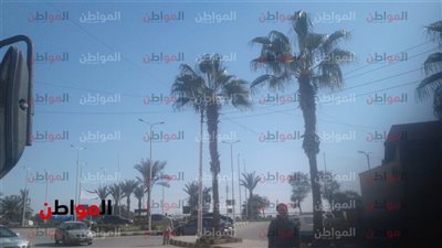 صور.. حالة الطقس في بني سويف اليوم الإثنين 