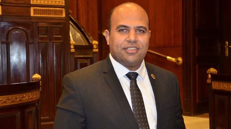 هشام الهمامي