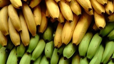 سعر الموز اليوم الاثنين 28 يناير 2019 في سوق العبور