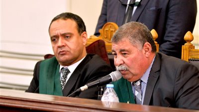 غدا .. محاكمة 35 متهما في قضية فض رابعة