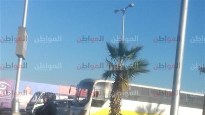 صور| جو عاوز الخروج.. أحوال الطقس في الجيزة اليوم الثلاثاء