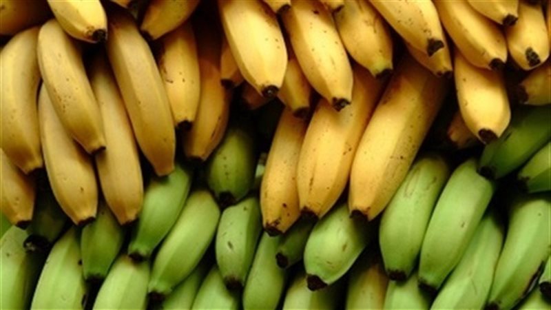 سعر الموز اليوم في