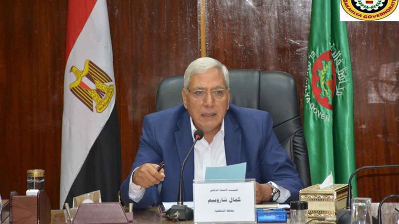 محافظ الدقهلية-الموجة